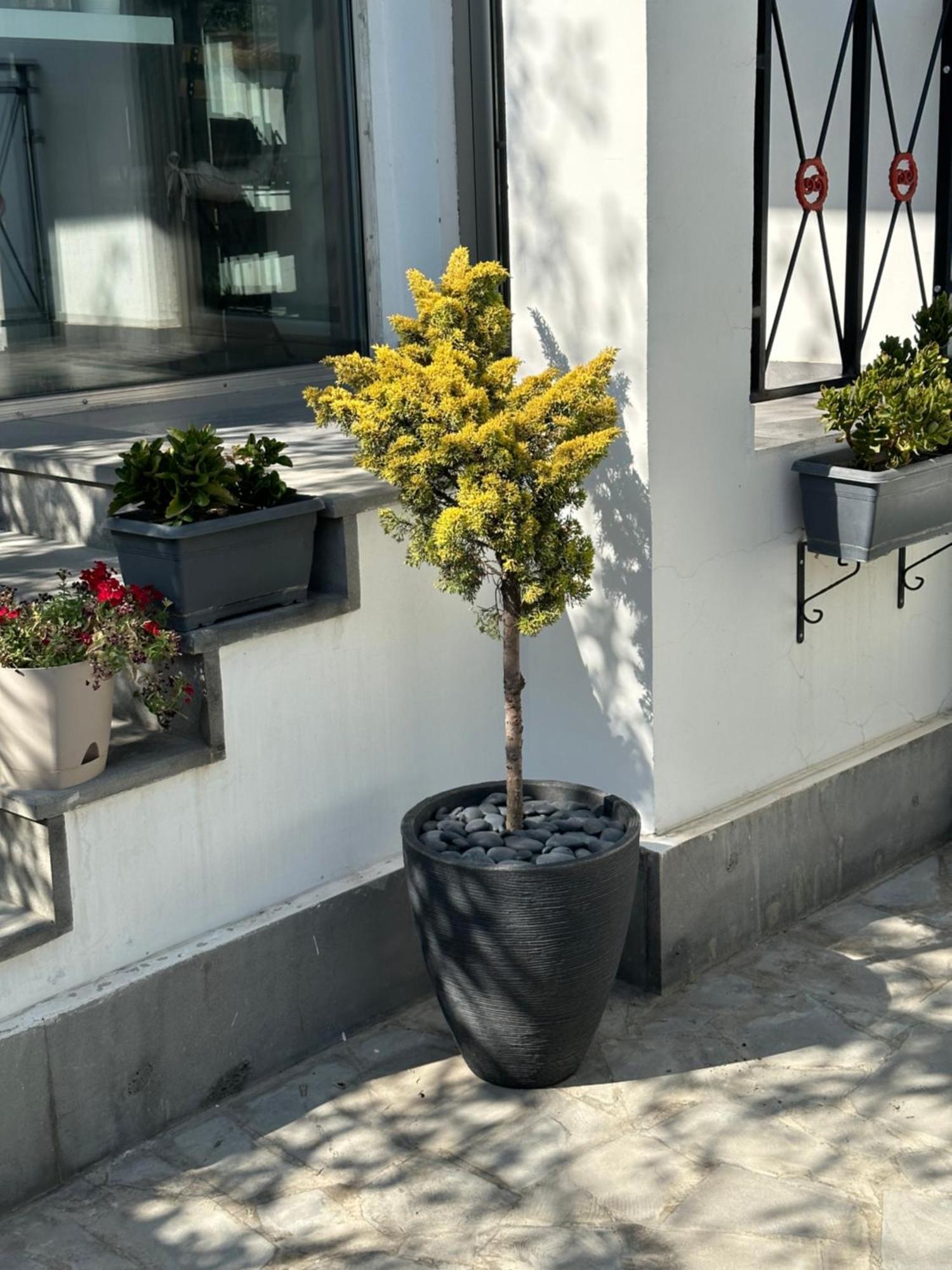 Garden Lounge Hotel Yerevan Luaran gambar